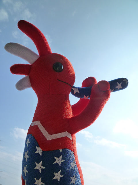 アメリカンココペリDOLL 〜話題の幸せを呼ぶ精霊〜