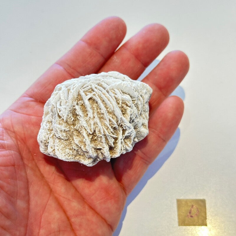 持ち主を傷つける存在を寄せ付けない!断ち切れ!砂漠の薔薇D