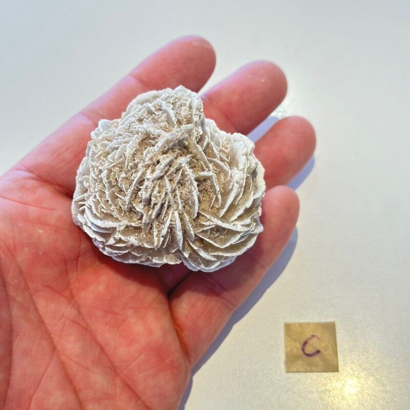 持ち主を傷つける存在を寄せ付けない!断ち切れ!砂漠の薔薇C