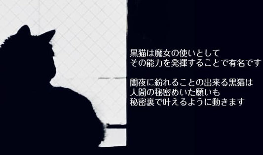 秘密の願いをこっそり叶える★儀式用クロス 黒猫