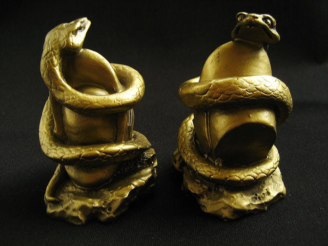 金運の神!元寛蛇(へび) ガッチリと!【2025年の干支】