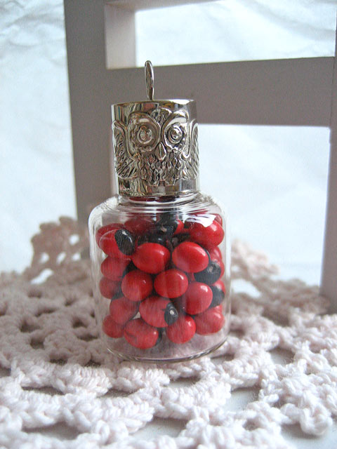 赤ちゃんに!ラッキーシンボル☆ワイルーロ