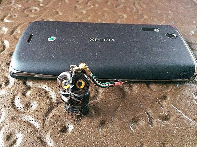 幸運を呼ぶ水牛の角 福ふくろう★根付 黒