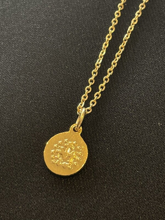 不思議 小さなメダイネックレス・マリアローズ