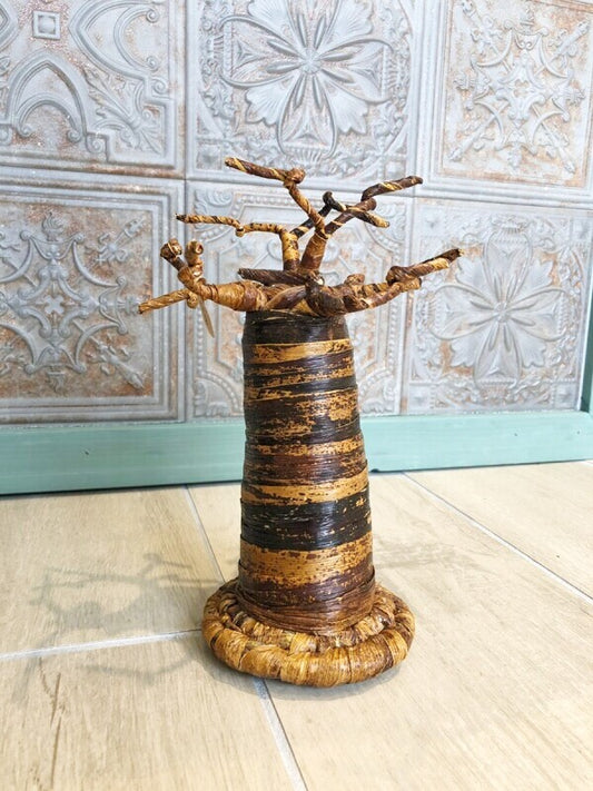 子宝☆生命力の強さで有名な母なる木 バオバブの木☆M 約25センチ