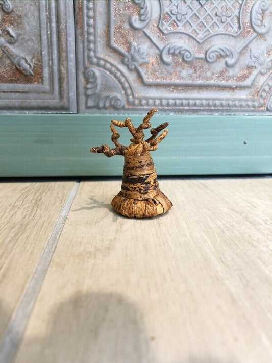 子宝☆生命力の強さで有名な母なる木 バオバブの木☆SS 約6センチ