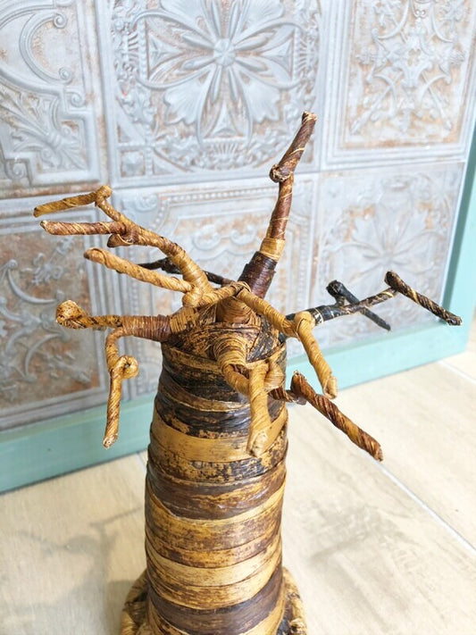 子宝☆生命力の強さで有名な母なる木 バオバブの木☆M 約25センチ