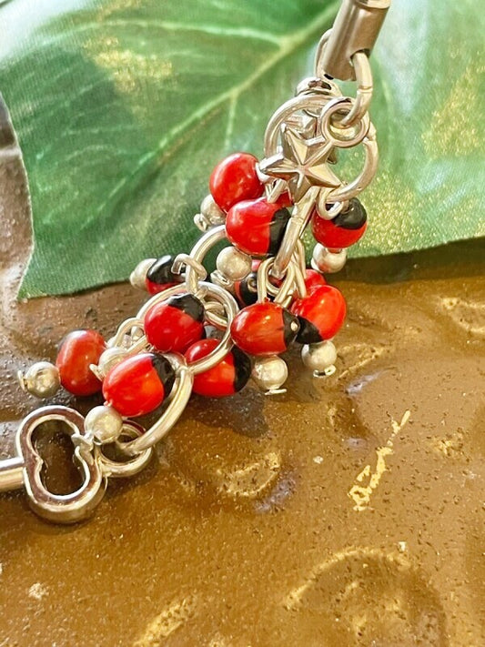 幸運の扉を開ける♪幸運のワイルーロ☆ストラップ 鍵&願望成就の星