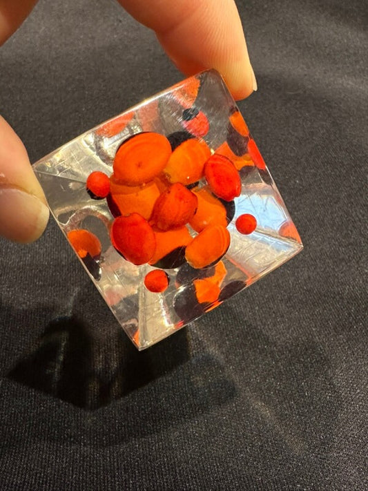 幸運の実☆ぎっしり!ピラミッド ワイルーロ