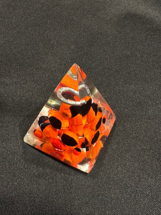 幸運の実☆ぎっしり!ピラミッド ワイルーロ