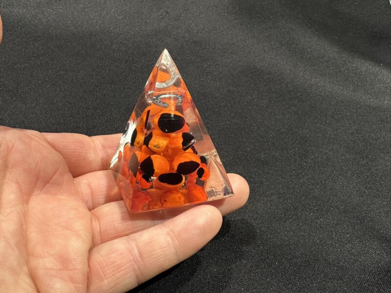 幸運の実☆ぎっしり!ピラミッド ワイルーロ