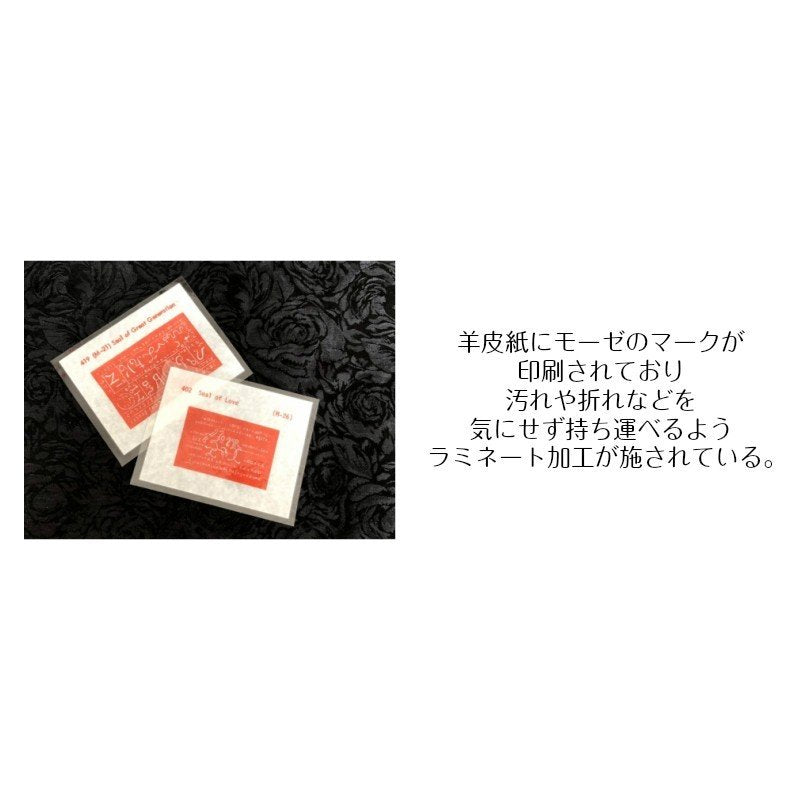 出会う人全てを魅了し惚れさせる魔術カード Marbuelis