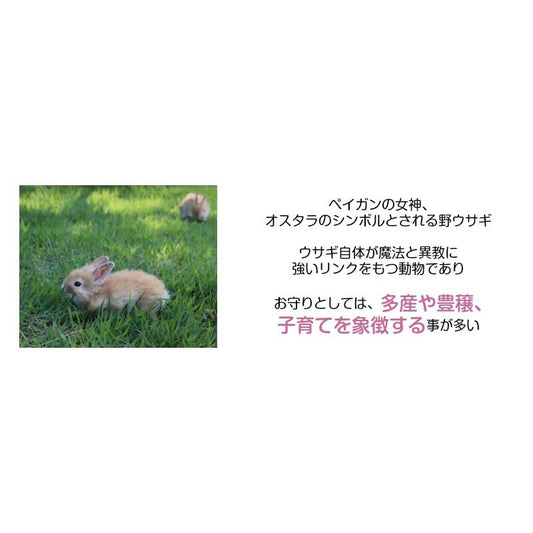 多産や子宝のシンボル 幸運・豊穣・愛情をもたらす魔術ペンダント Rabbitmoon