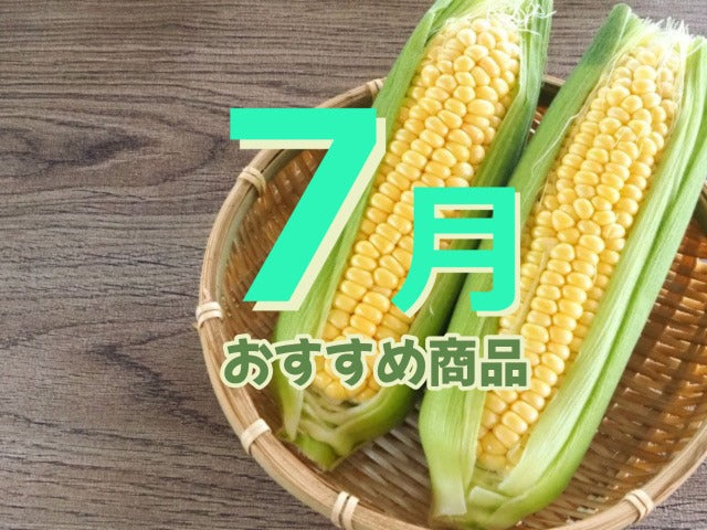 It’s been raining every day.7月のおすすめ商品