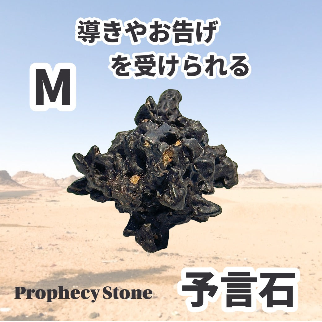導きやお告げを受けられる予言石_エジプトの星★プロシェシーストーン(ゼットストーン)M