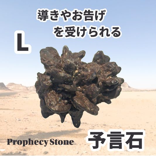 導きやお告げを受けられる予言石_エジプトの星★プロシェシーストーン(ゼットストーン)L