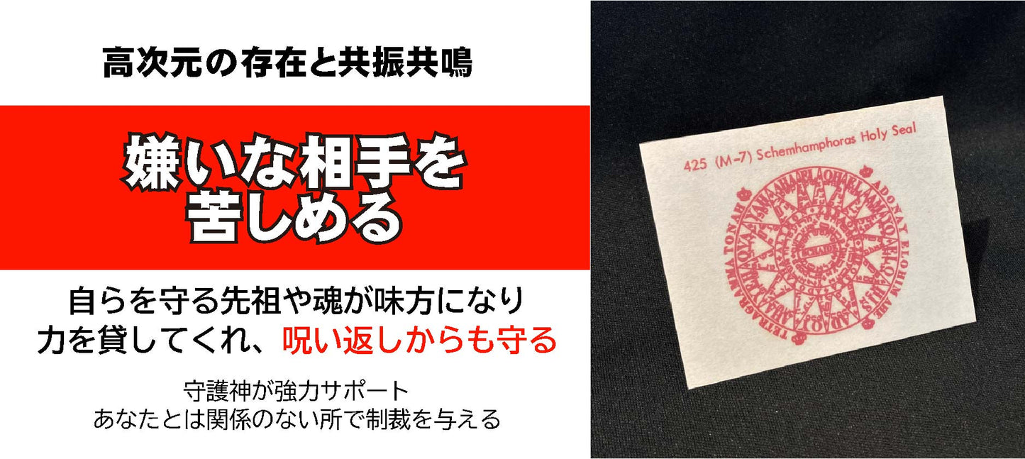 復讐と仕返しの魔術カード SchemhamphorasHoly