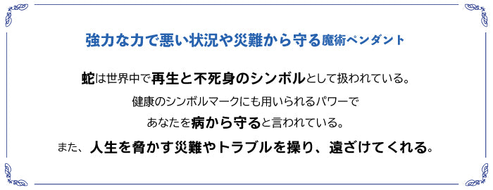 病魔・災難を寄せ付けない 魔術ペンダント エビルスピリット