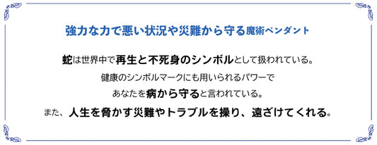 病魔・災難を寄せ付けない 魔術ペンダント エビルスピリット